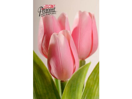 107P6 Francouzský tulipán něžně růžový 40cm