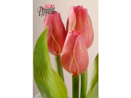 107R4 Francouzský tulipán žluto červený 40cm