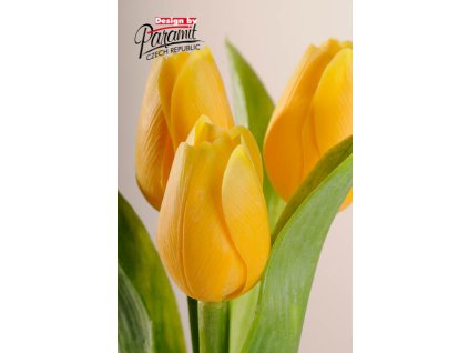 107Y2 Francouzský tulipán jasně žlutý 40cm