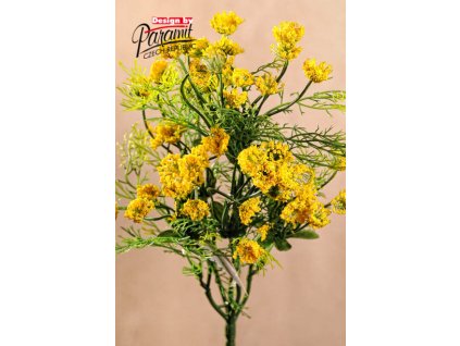 F79305 2 Herbs zlute od Paramit