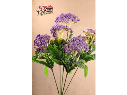 F79308 Queen fialova od Paramit