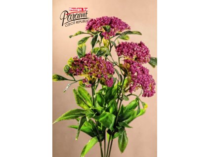 F79308 Queen ruzova od Paramit