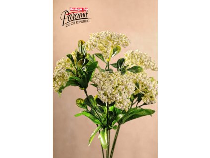 F79308 Queen smetanova od Paramit