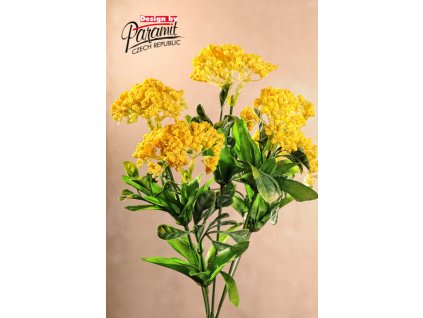 F79308 Queen zluta od Paramit