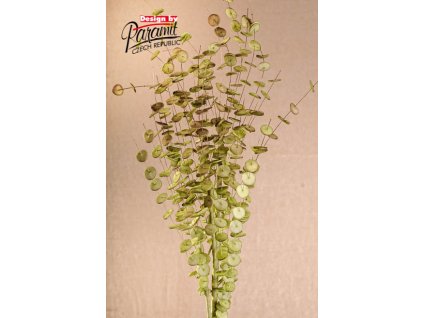 3 119G květina zelená 105 cm