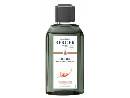 6281 Náplň do difuzéru Intenzivní třpyt 200 mlod Maison Berger Paris