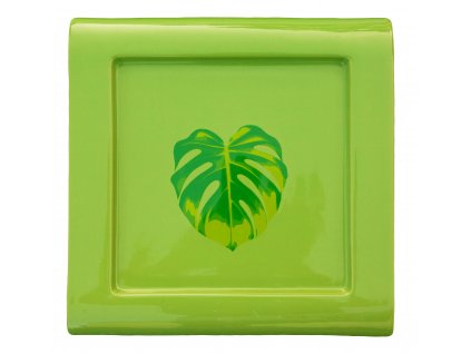 GINKGO Tác 32x32x3cm - MONSTERA