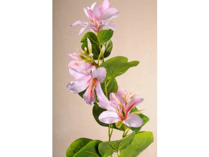 F217 P Umělá bauhinia růžová 86 cm