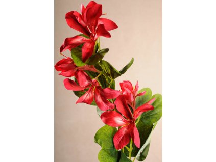 F217 R Umělá bauhinia červená 86 cm