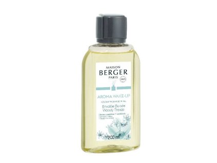 6265 Náplň do difuzéru Lesní vánek 200 ml