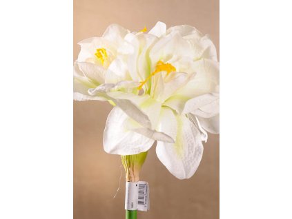 F59691 Dekorační květina Amarylis bílý 75 cm od Paramit