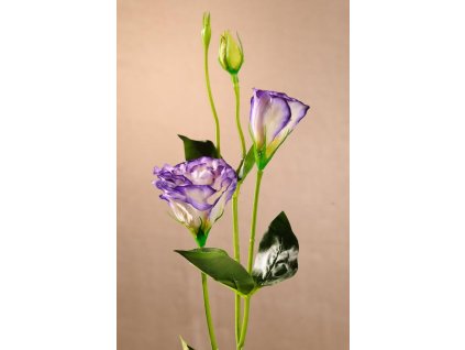 F89125 Dekorační květina Lisiantus bílo modrý 67 cm od Paramit