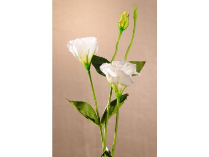 F89124 Dekorační květina Lisiantus bílý 67 cm od Paramit