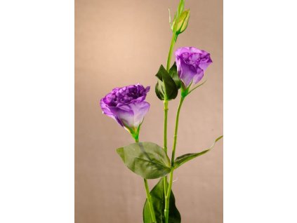 F89127 Dekorační květina Lisiantus fialový 67 cm od Paramit