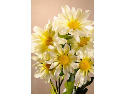 F83412 Dekorační květina Kopretina krémová 68 cm od Paramit