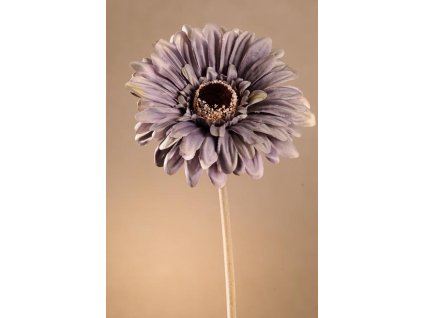 F248 B Krásná modrá gerbera 53 cm od špičkové značky Paramit