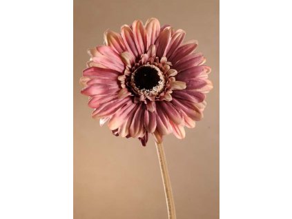 F248 P Krásná růžová gerbera 53 cm od špičkové české značky Pramit