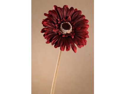 F248 R Nádherná červená gerbera 53 cm od špičkové české značky Paramit.