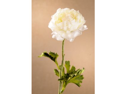 F260 W Ranunculus white Krásný pryskyřník 51 cm bílý od Paramiit