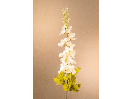 F250 W Dry Delphinium bíla rostlina 79 cm od Paramit.