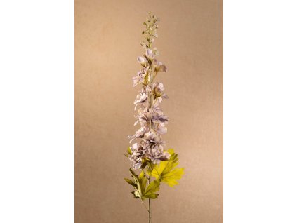 F250 B Dry Delphinium modrá stračka 79 cm od Paramit.