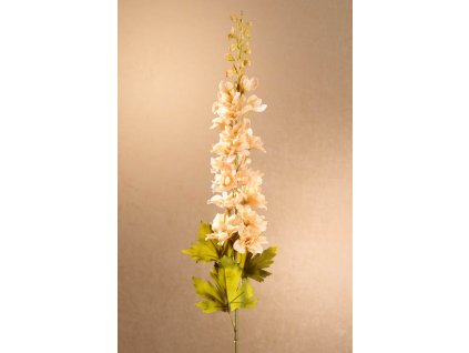 F250 C Dry Delphinium krémová stračka 79 cm od Paramit.