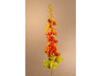 F250 O Dry Delphinium oranžová stračka 79 cm od Paramit.