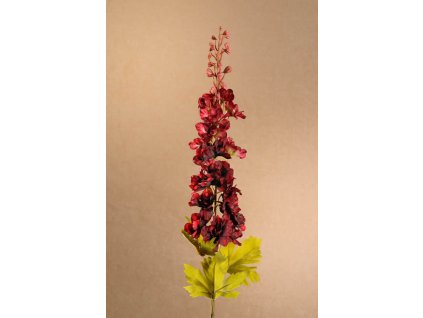F250 R Dry Delphinium vínová stračka 79 cm od Paramit.