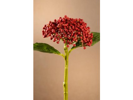F264 R Hydragea Bud červená hortenzie výšky 32 cm od Paramit.