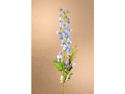 F270 B Delphinium modrá stračka výšky 80 cm od Paramit.