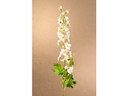 F270 W Delphinium bílá stračka výšky 80 cm od Paramit.