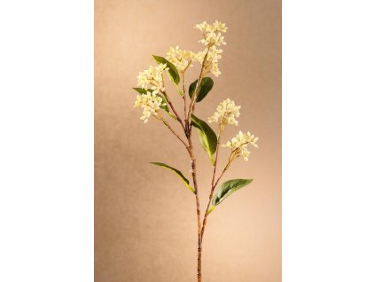 F271 W Japanese Berry bílá květina výšky 63 cm od Paramit.