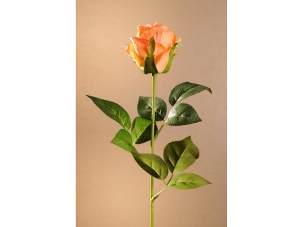 F273 O Rose Bud oranžová růže výšky 55 cm od Paramit.