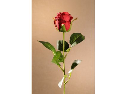 F273 R Rose Bud červená růže výšky 55 cm od Paramit.