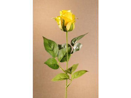 F273 Y Rose Bud žlutá růže výšky 55 cm od Paramit.