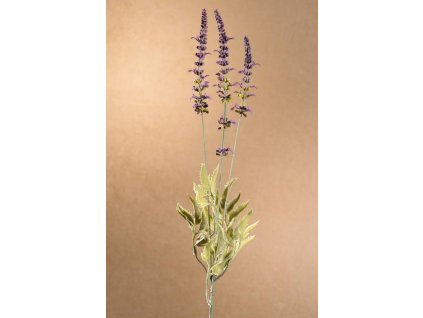 F274 V Garden Lavender fialová levandule výšky 66 cm od Paramit.