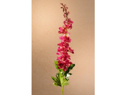 F275 R Delphinium vínová stračka výšky 79 cm od Paramit.