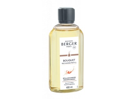 6817 Interiérová vůně Intenzivní třpyt 400 ml od Maison Berger Paris 2