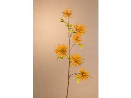F258 Y DRY MINI XANTHIUM Aranžovací květina žlutát 53 cm