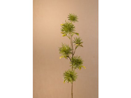 F258 G DRY MINI XANTHIUM Aranžovací květina zelená 53 cm
