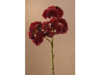 F256 R DRY WILD BERRY Aranžovací květina červená 45 cm