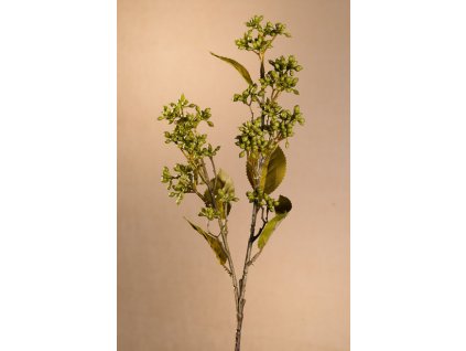 F278 G DRY VIBURNUM TINUS Aranžovací květina zelená 58 cm