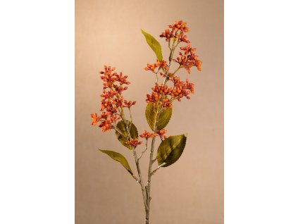 F278 O DRY VIBURNUM TINUS Aranžovací květina oranžová 58 cm