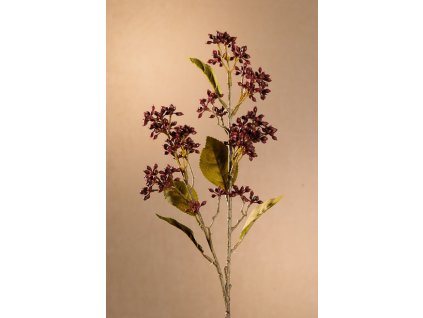 F278 R DRY VIBURNUM TINUS Aranžovací květina červená 58 cm