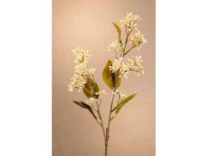 F278 W DRY VIBURNUM TINUS Aranžovací květina bílá 58 cm