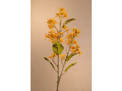 F278 Y DRY VIBURNUM TINUS Aranžovací květina žlutá 58 cm