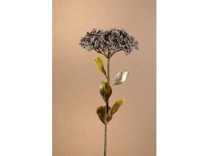 F279 B DRY FULL BLOOM SEDUM Aranžovací květina modrá 46 cm