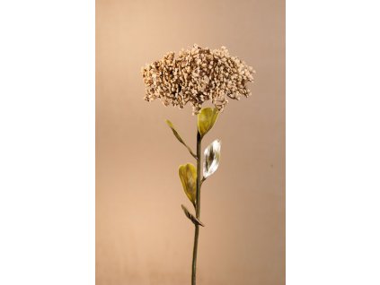 F279 C DRY FULL BLOOM SEDUM Aranžovací květina krémová 46 cm