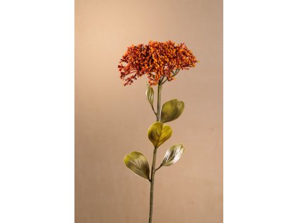 F279 O DRY FULL BLOOM SEDUM Aranžovací květina oranžová 46 cm