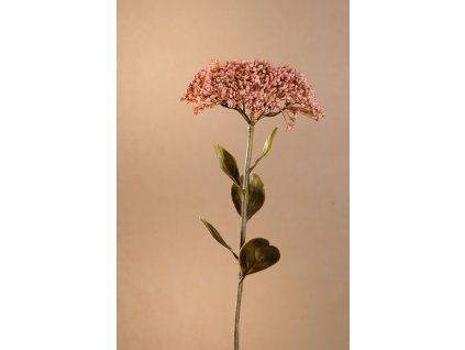 F279 P DRY FULL BLOOM SEDUM Aranžovací květina růžová 46 cm